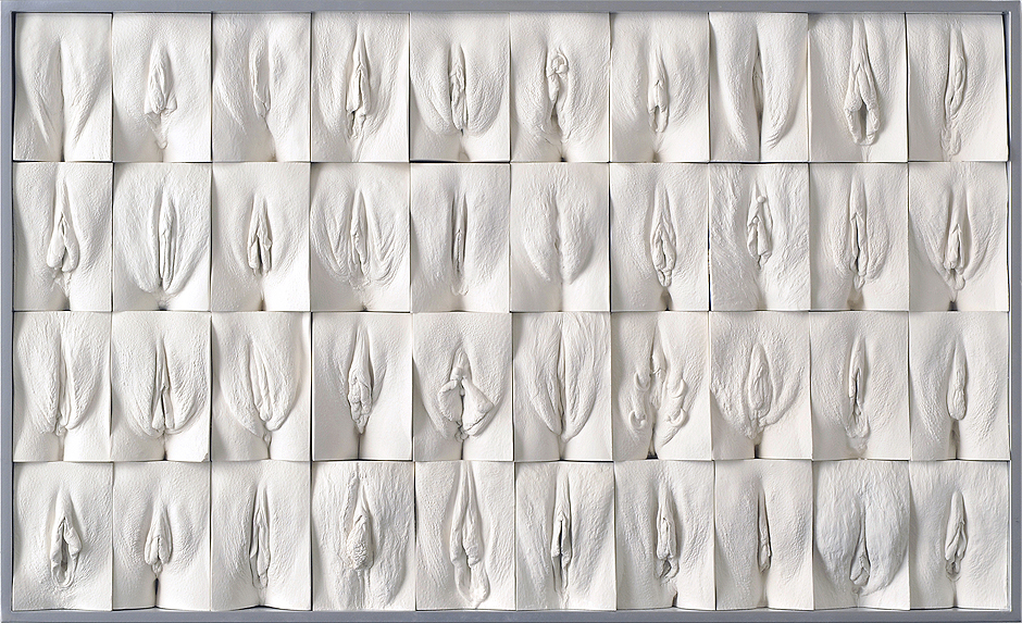 Слепок вульвы тип 9: уникальное строение