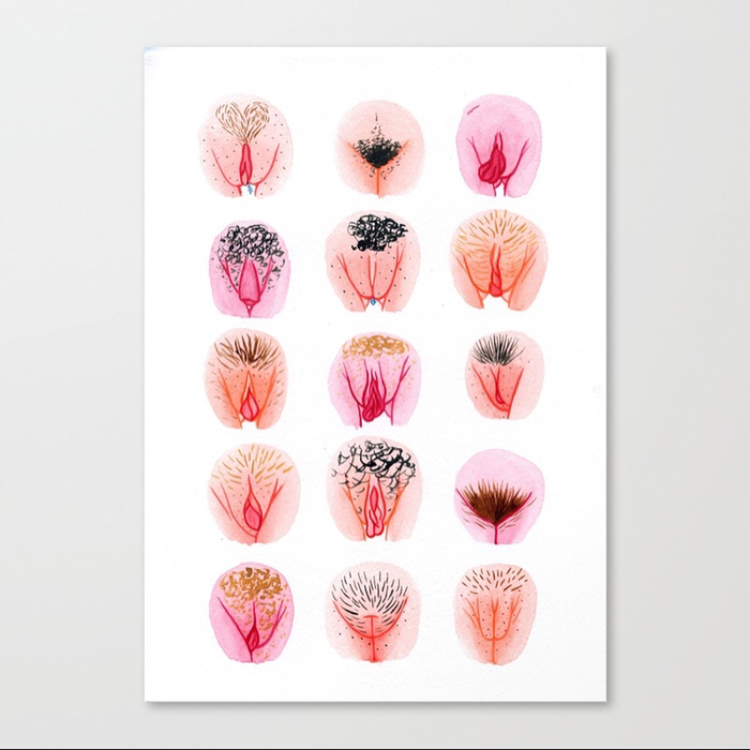 Художественное изображение вульвы с акцентом на естественную пигментацию