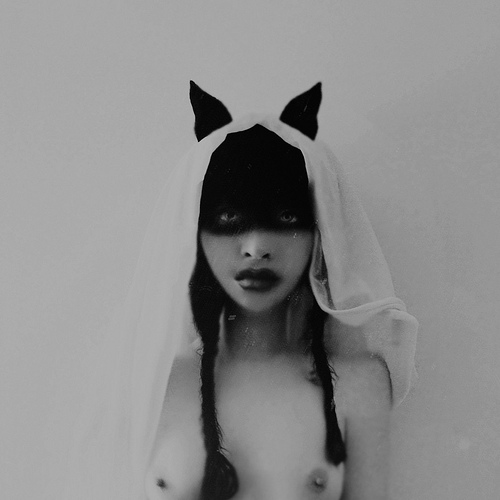 готесса готесса