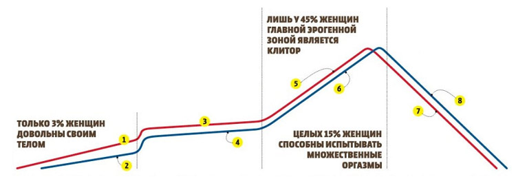 Фазы секса - принципы и процессы у женщин для мужчин