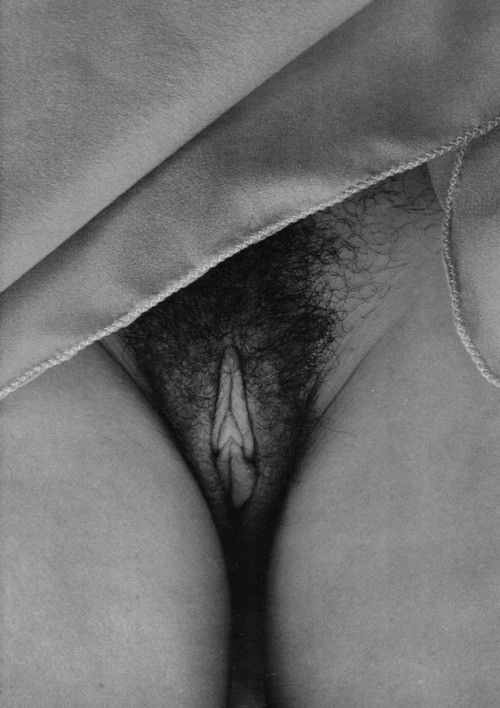 Фото к статье Брить или не брить?