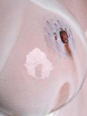 Сиськи правят миром