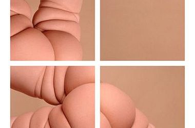 Дистрофики и толстушки на фото torsten solin