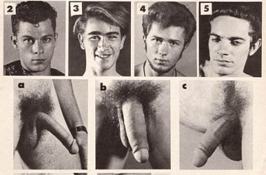 Угадай где, чей член