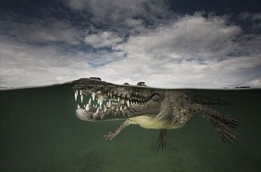 Почему снится секс с противным партнером?