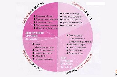Твой цикл и сексуальность или график для занятия сексом