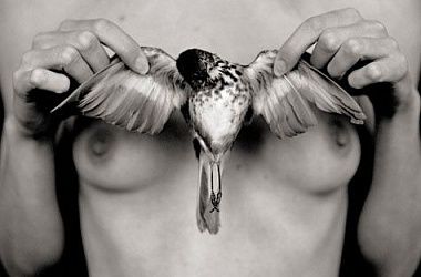 Птичку жалко :((( Но по сиськами хороша