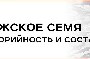 Мужская сперма - факты, состав, калорийность