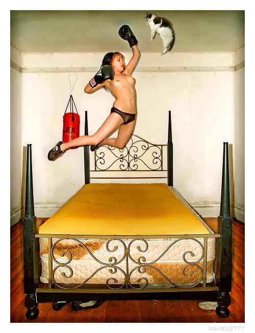 Фотографии извращений сэра Merkley