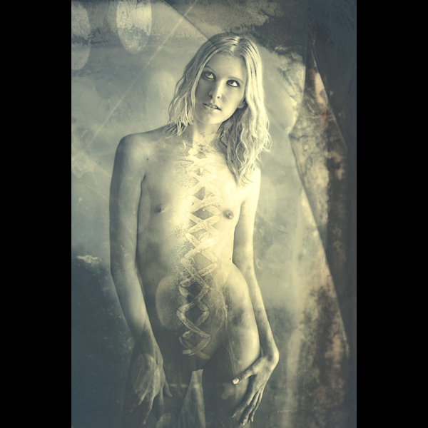 Психоделический порно арт от Geisha Chic