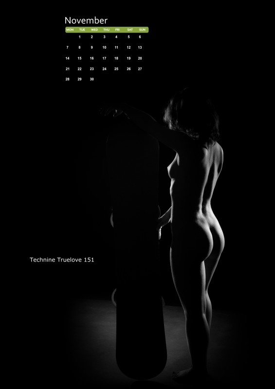 Snowboard календарь 2011