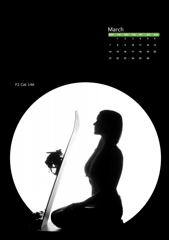 Snowboard календарь 2011