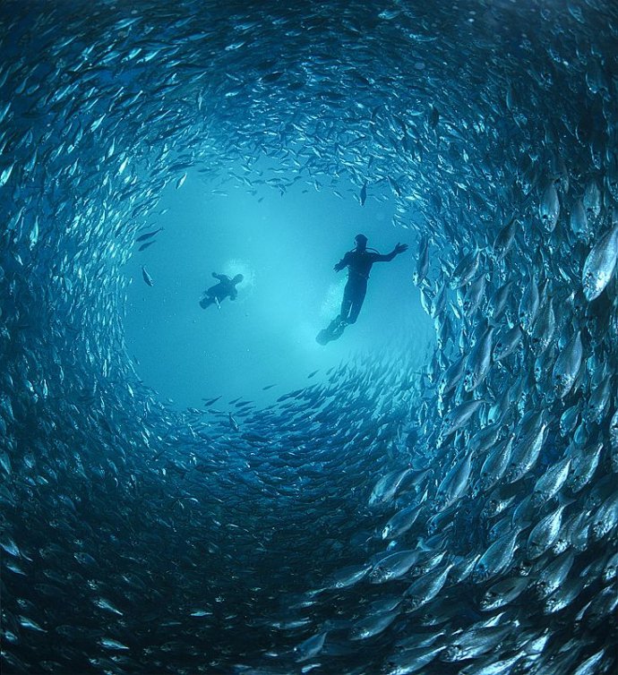 Обнаженные и не только, под водой от Zena Holloway