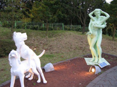 Парк секса в Корее